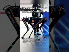 robot dogs